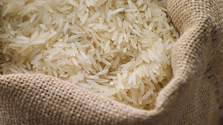 برنج هندی رکورد زد