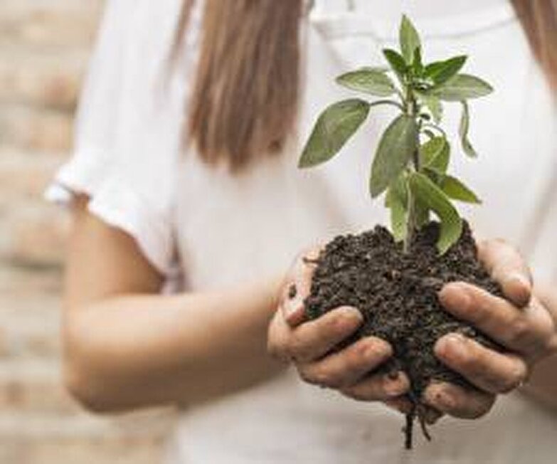 10 ماده طبیعی دیگر برای تقویت خاک گلدان و باغچه