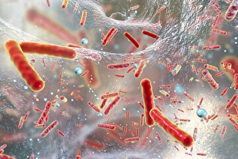درمان یک سرطان خطرناک با مهندسی معکوس این باکتری انجام میپذیرد